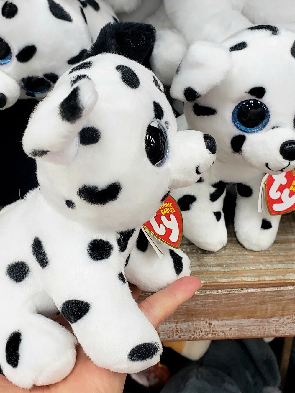 Ty cute dalmatian